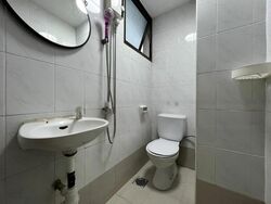 Parc Oasis (D22), Condominium #458557901